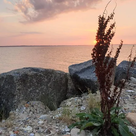 Ferienhaus 10 Person In Logstor-by Traum Trend